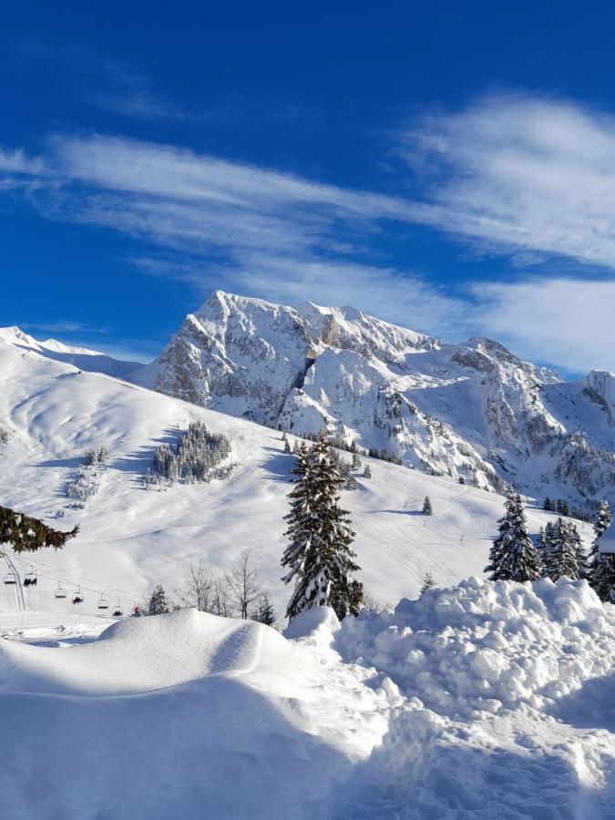 Appartement Au Coeur Des Aravis Manigod Exteriér fotografie